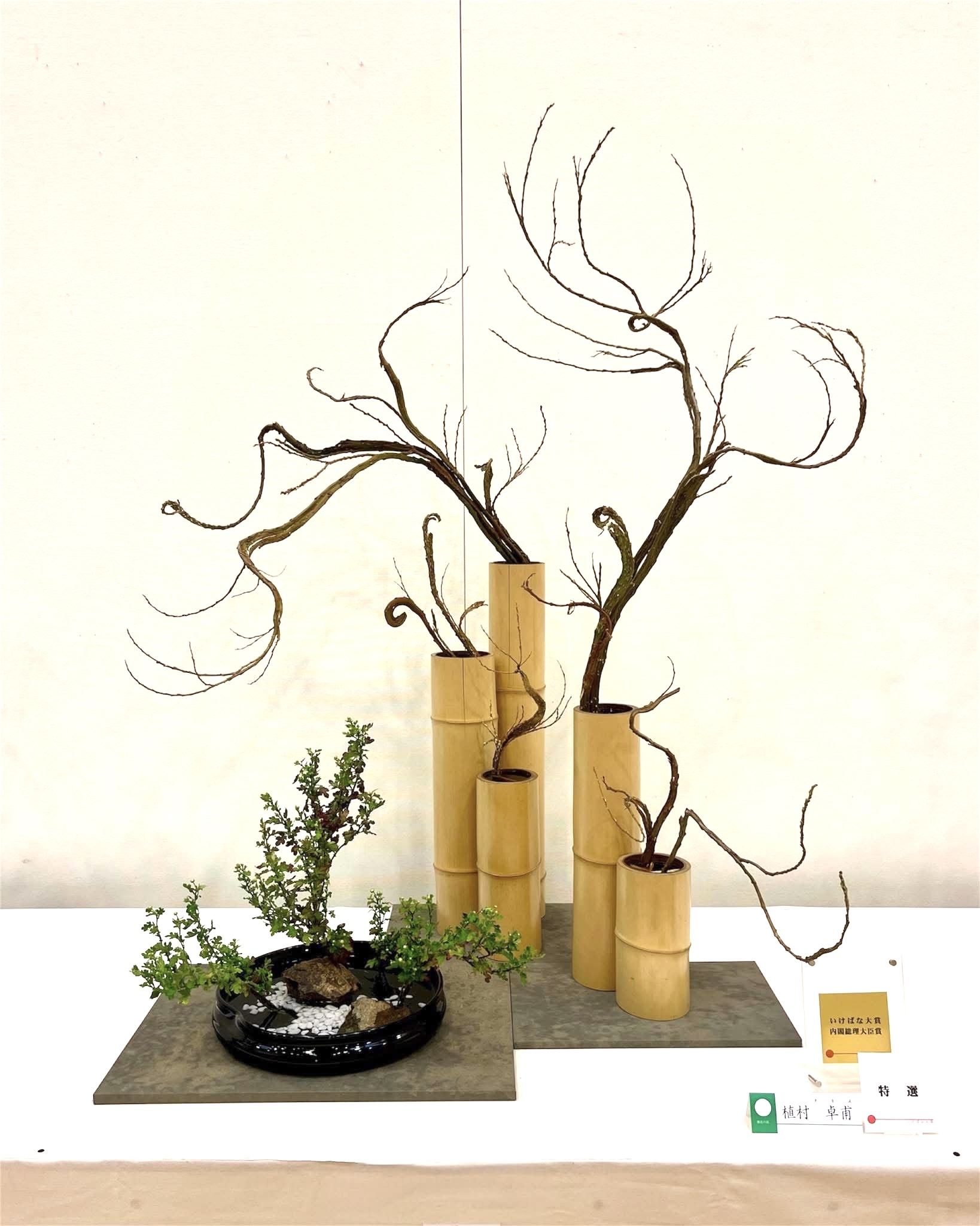 格花の部　植村　卓甫（未生流）