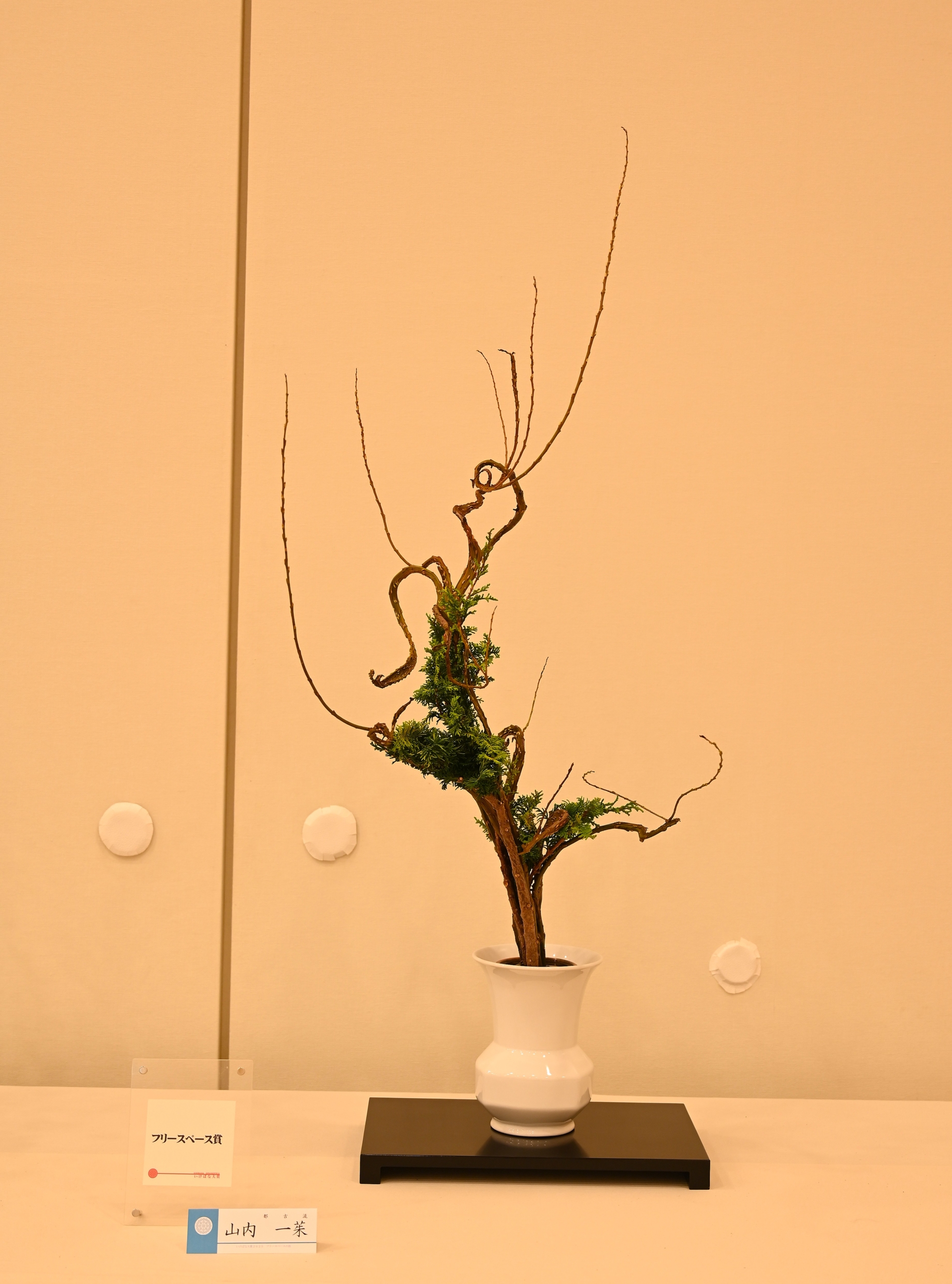 フリースペースの部　山内　一茱（都古流）