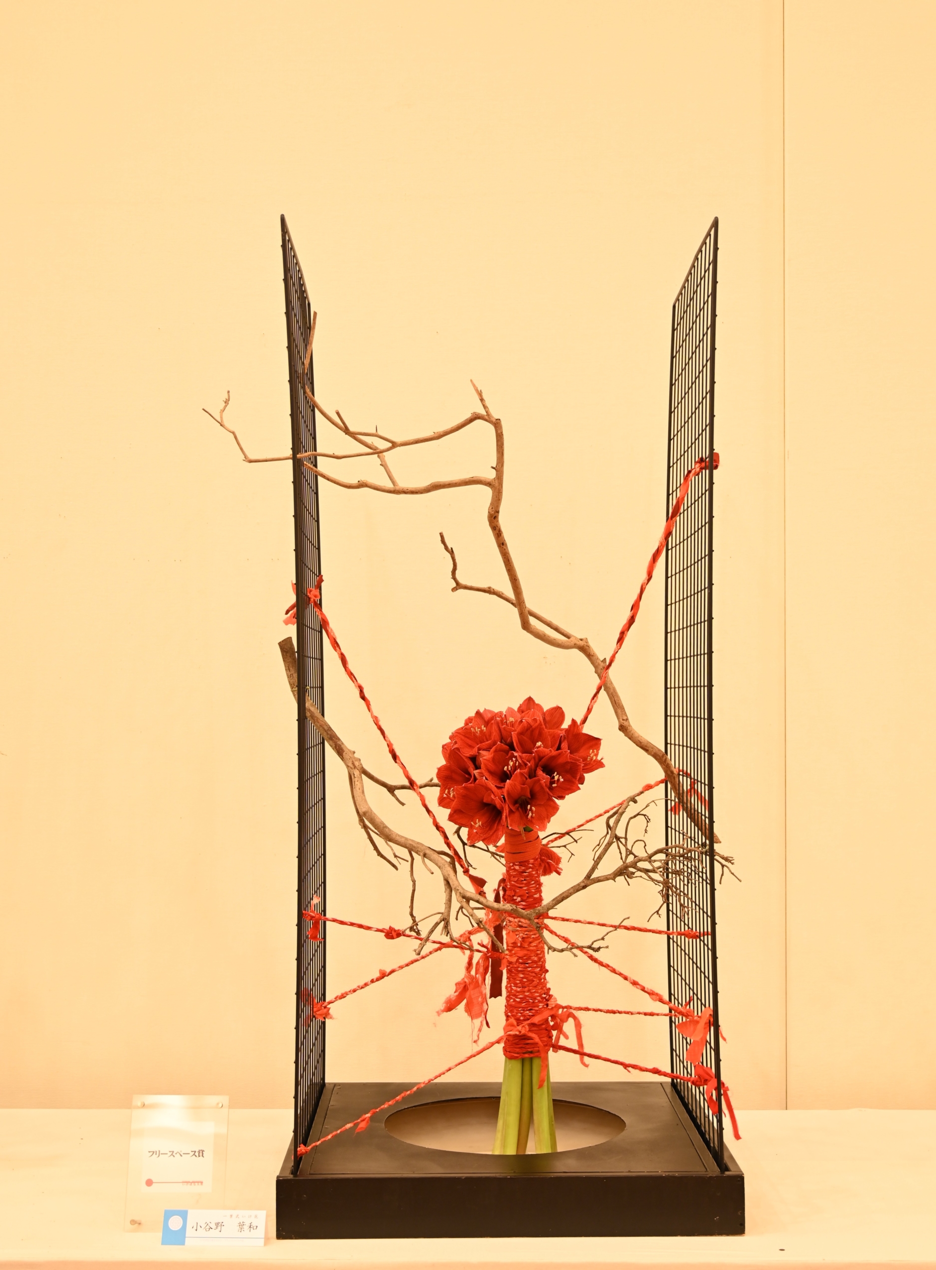 フリースペースの部　小谷野　葉和（一葉式いけ花）