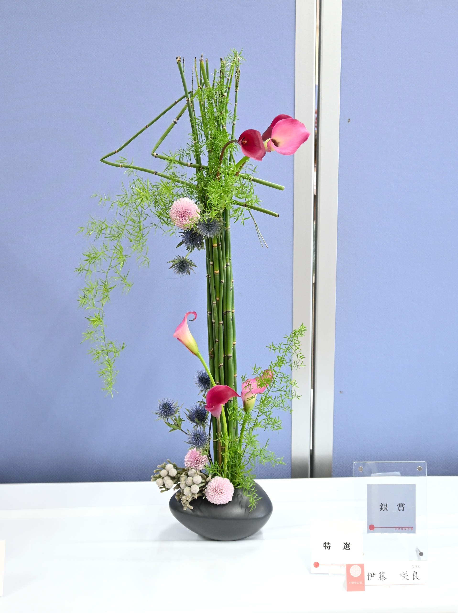 小学生の部　伊藤　咲良　