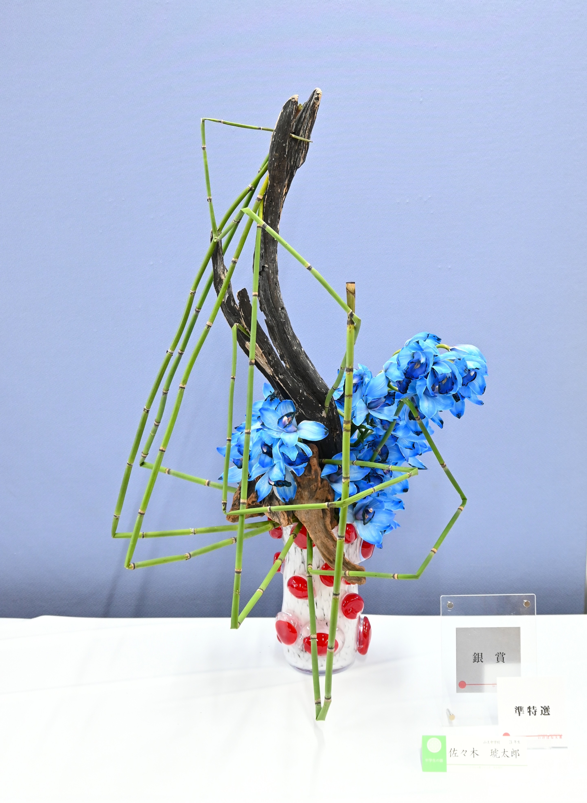 中学生の部　佐々木　琥太郎　