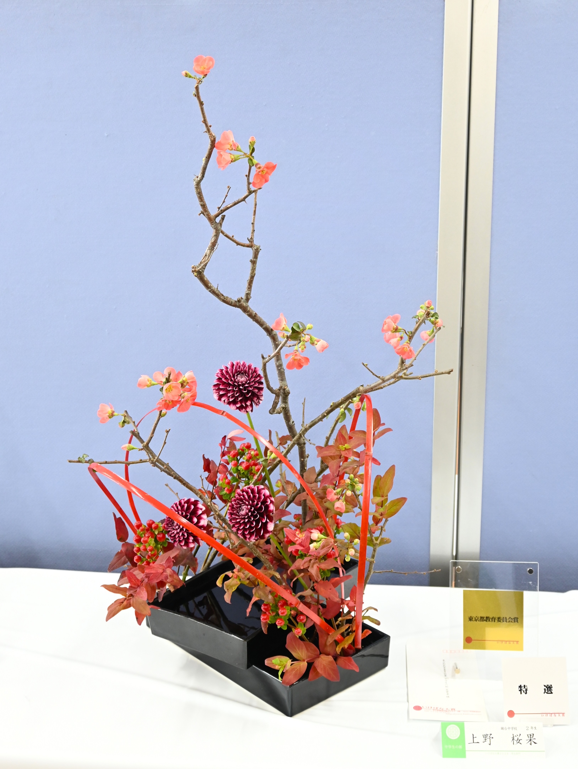 中学生の部　上野　桜果　