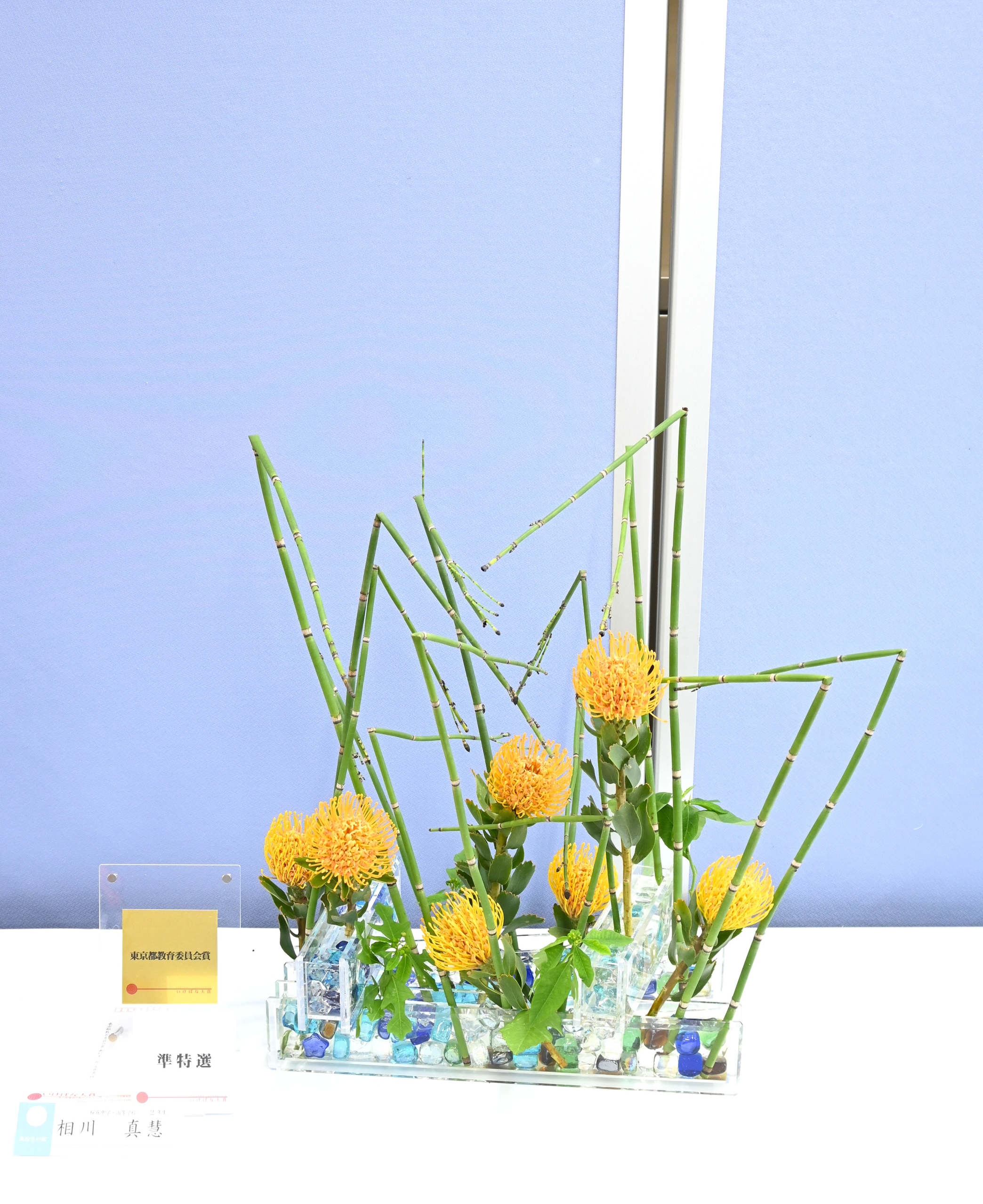 高校生の部　相川　真慧　