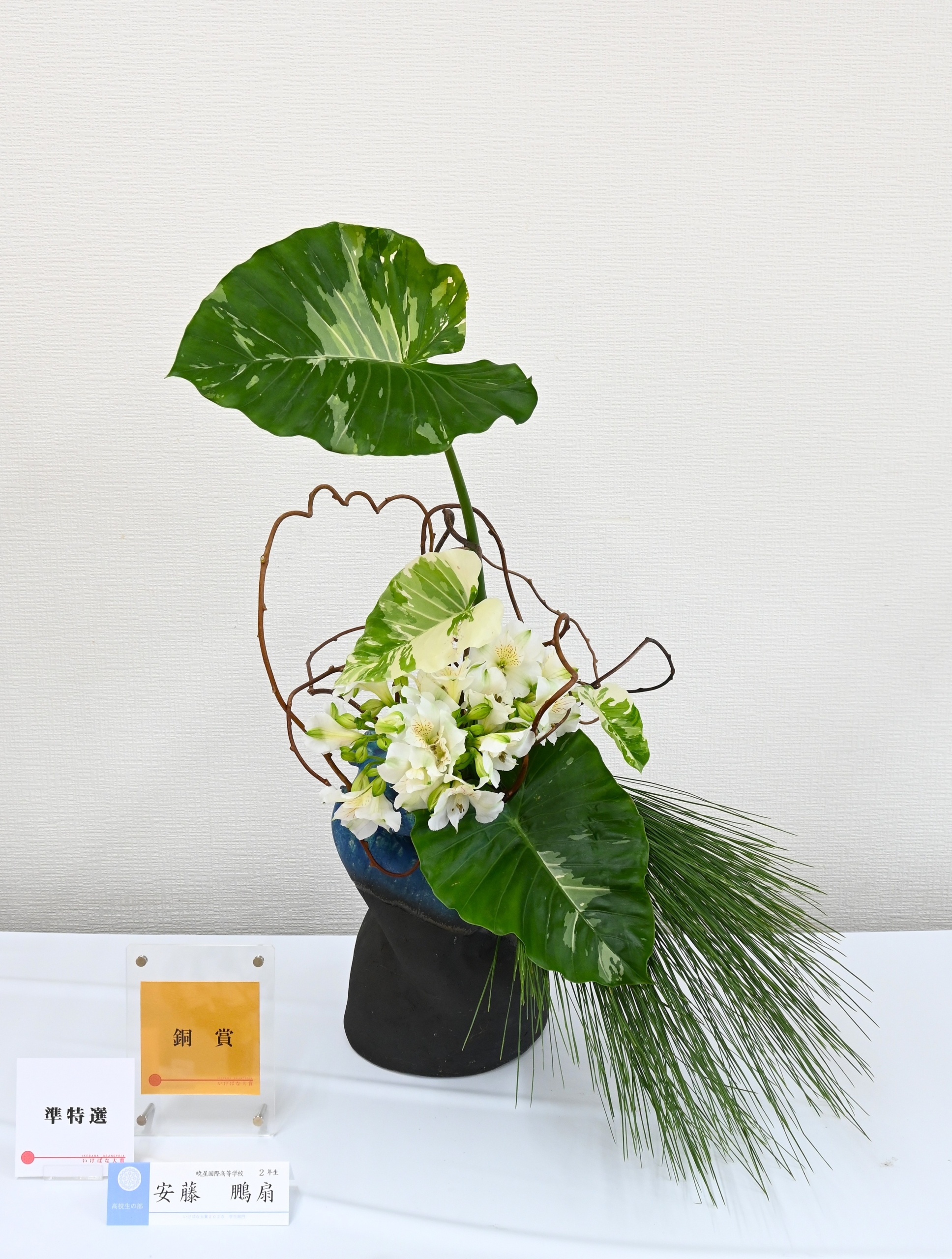 高校生の部　安藤　鵬扇　