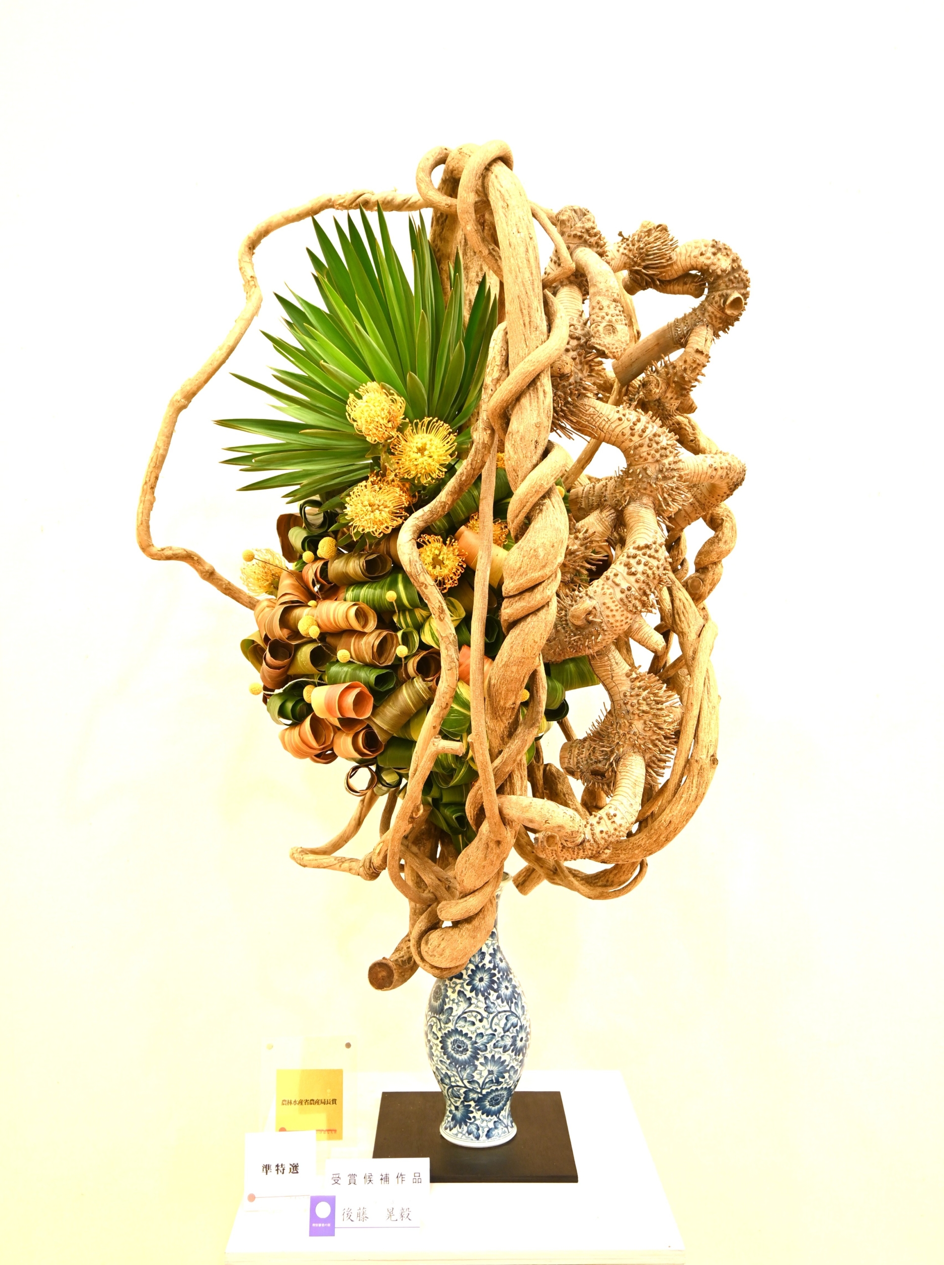 特別審査の部　後藤　晃毅（草真流）