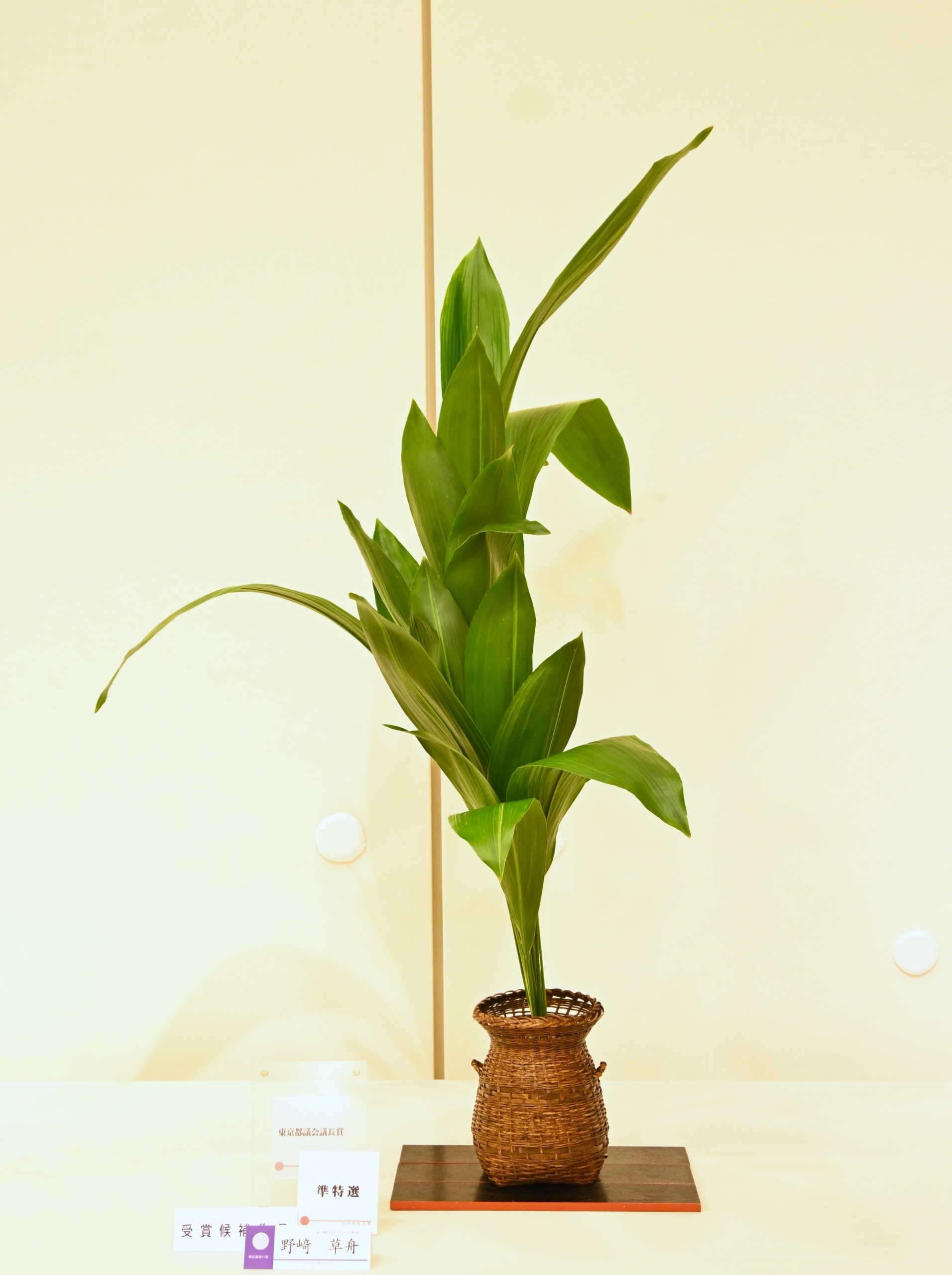 特別審査の部　野﨑　草舟（花の学院アカデミアフロール草心会）