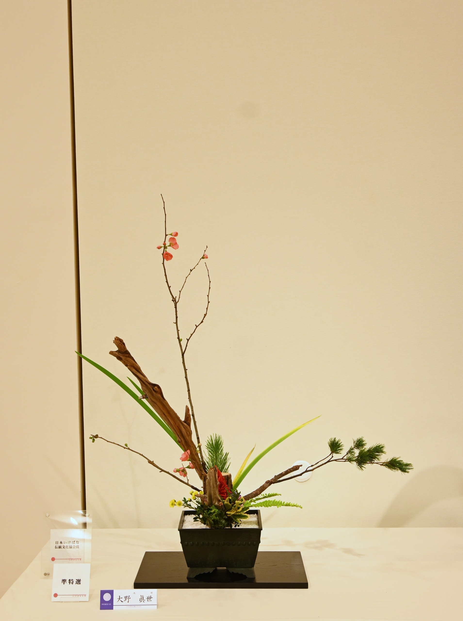 特別審査の部　大野　眞世（池坊）