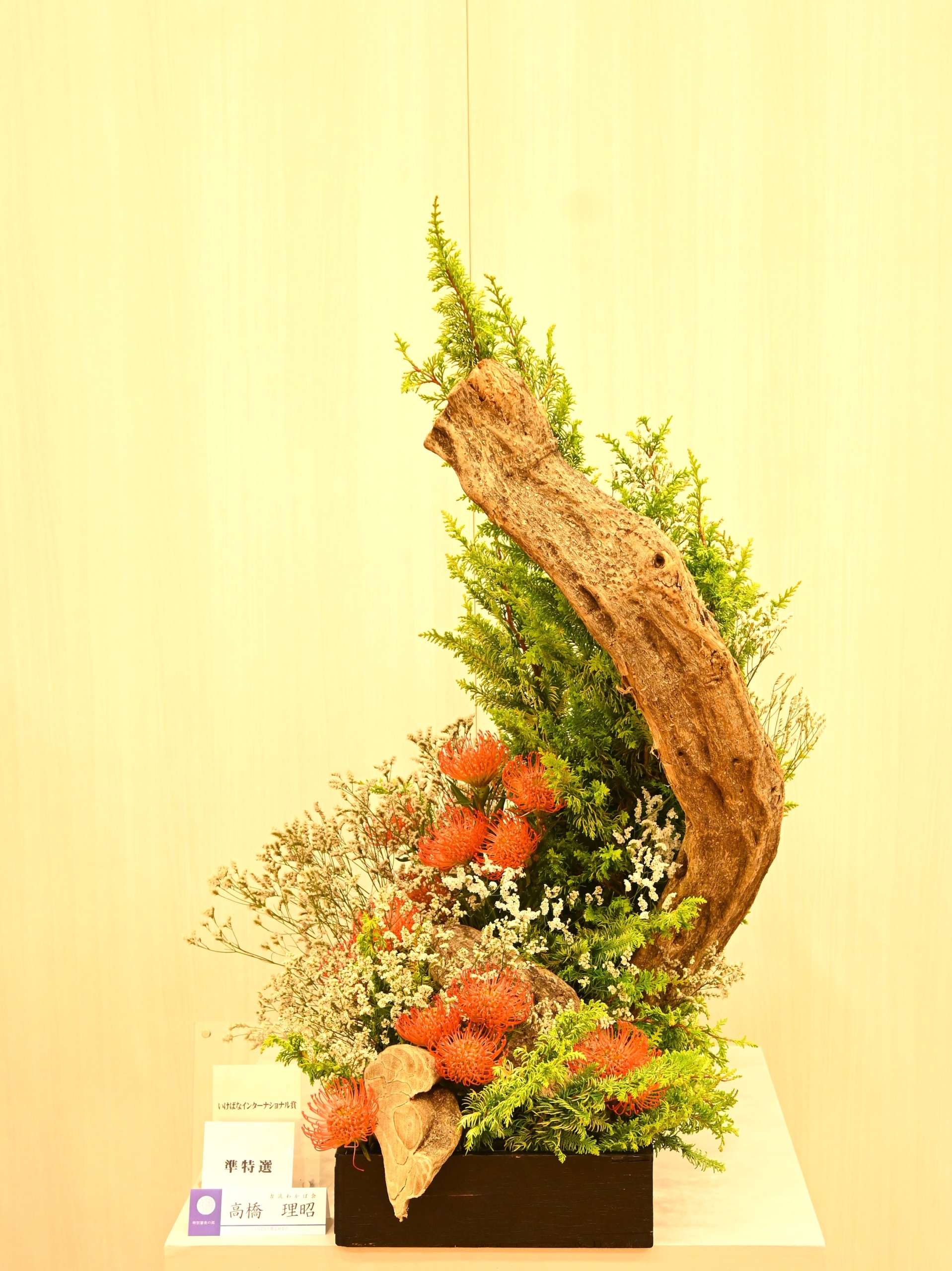 特別審査の部　高橋　理昭（古流わかば会）