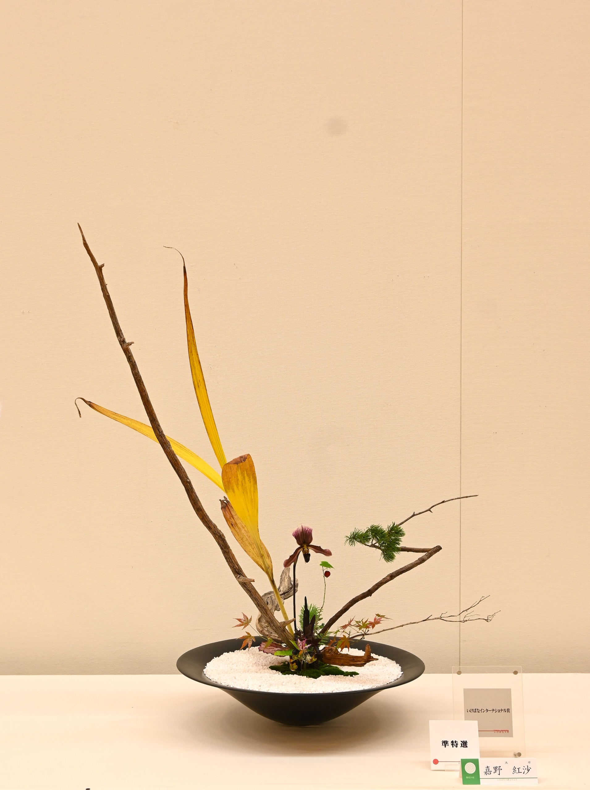 格花の部　嘉野　紅沙（池坊）