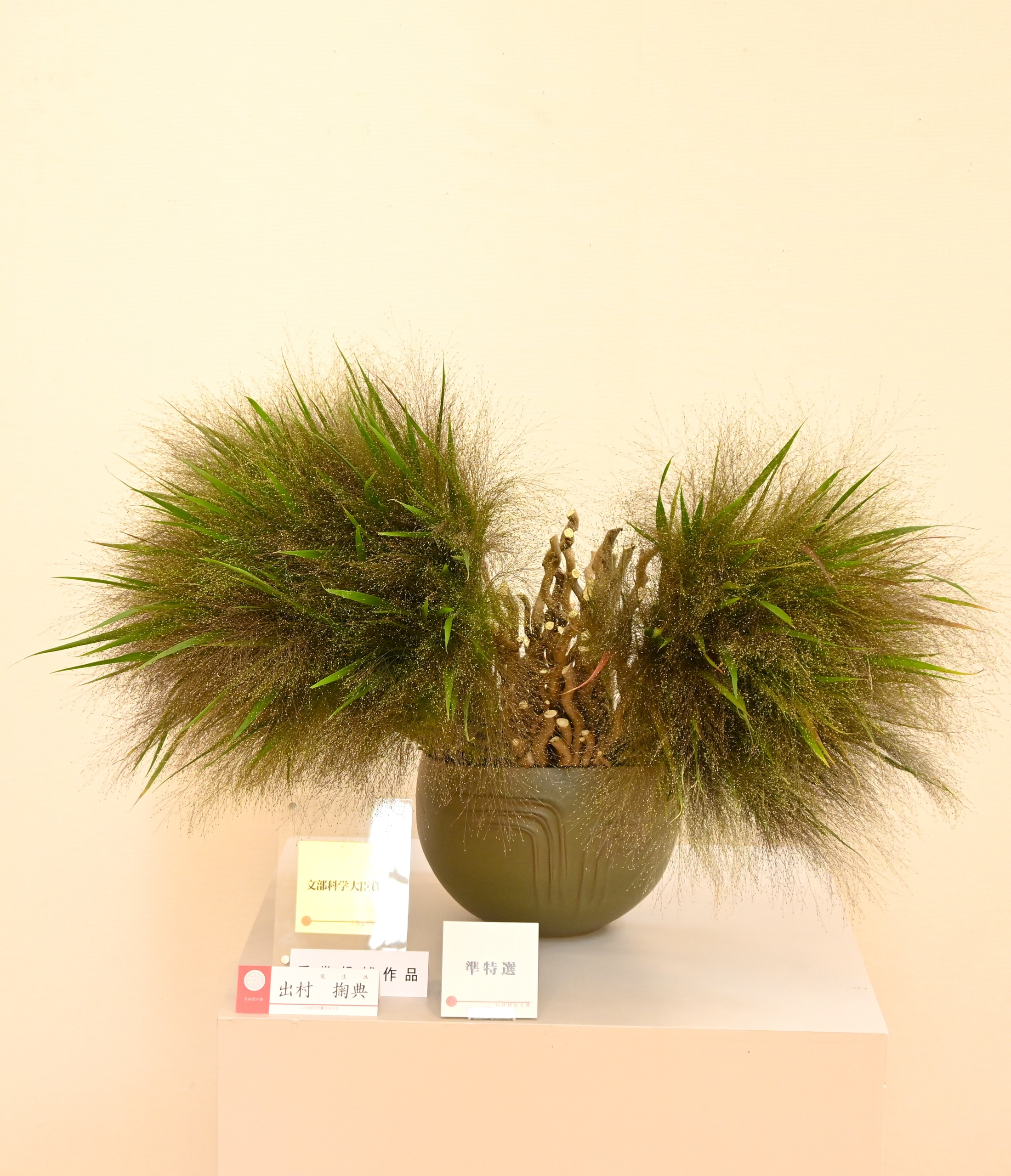 自由花の部　出村　掬典（龍生派）