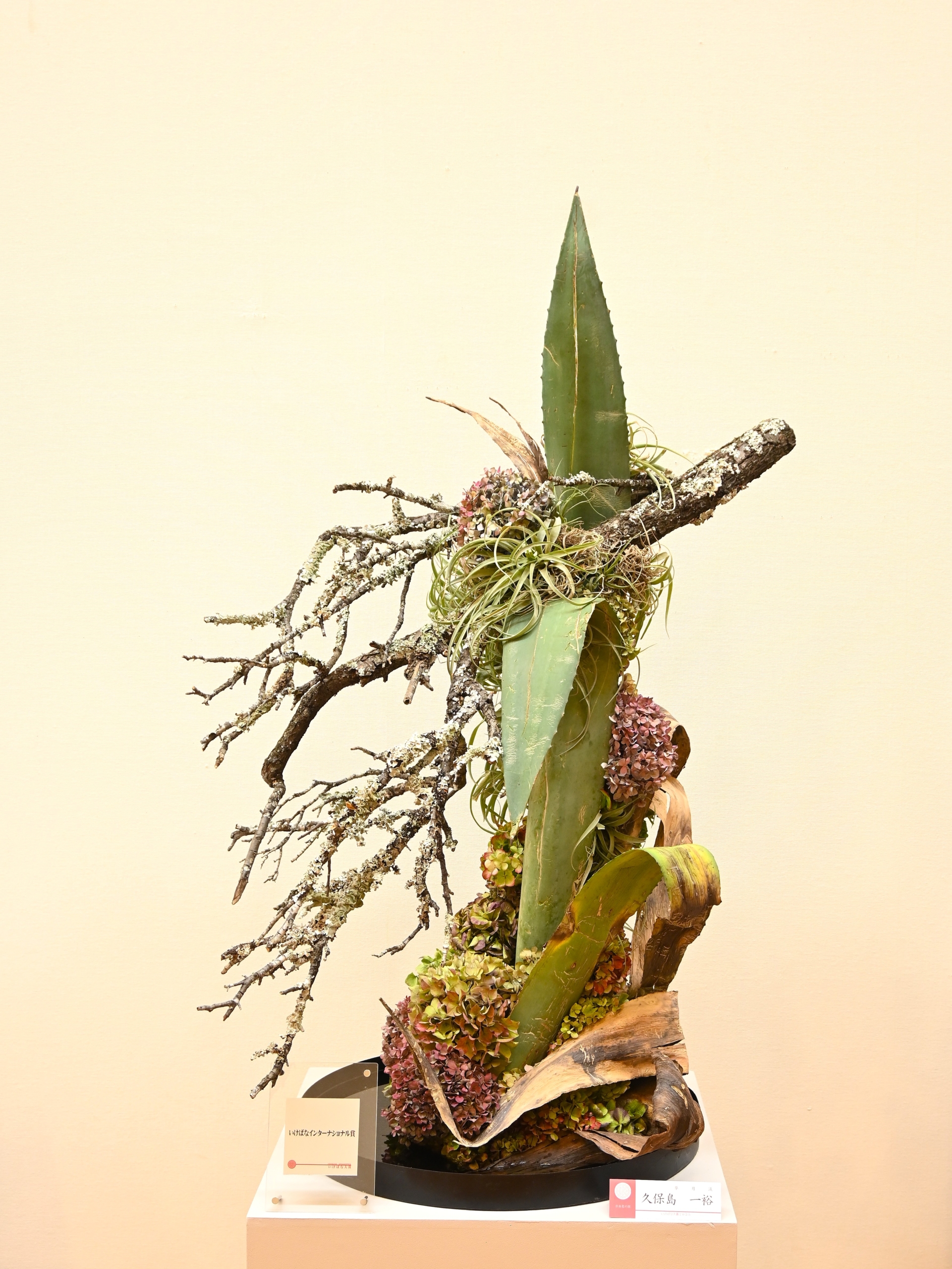 自由花の部　久保島　一裕（草月流）