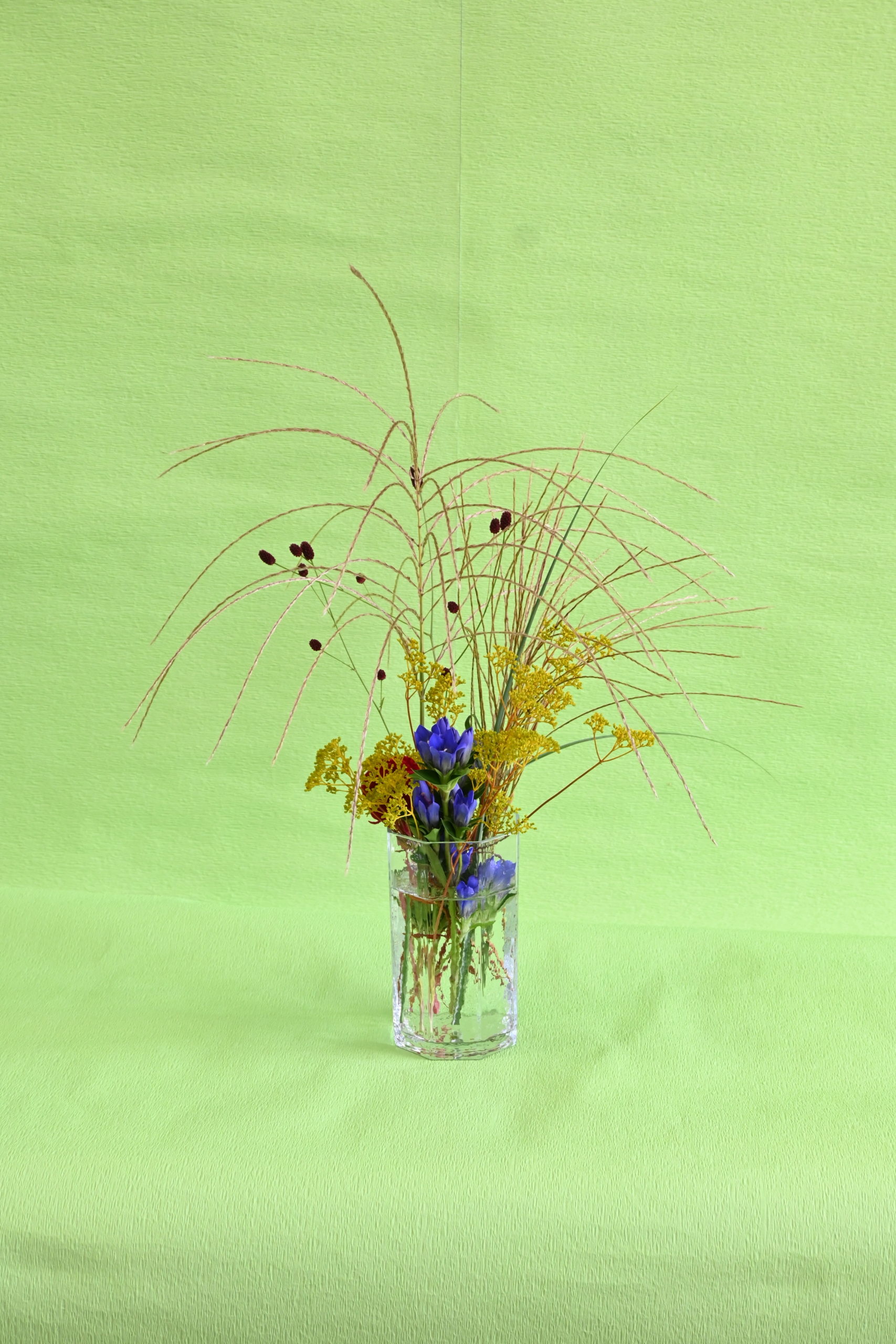 令和７年度　第5回研究会