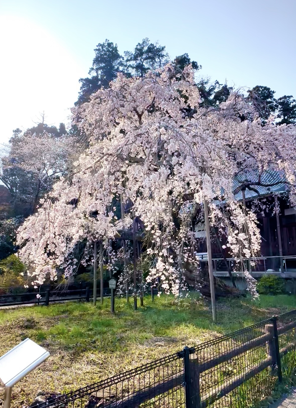 令和７年度　研究部野外研修会